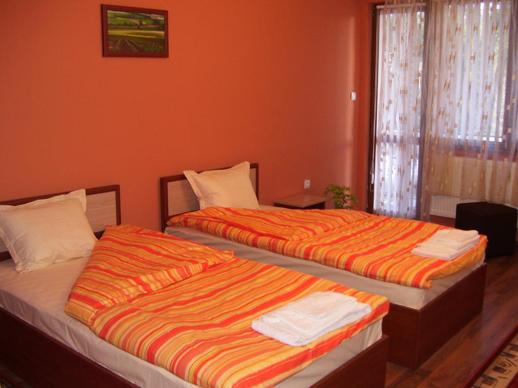 Kestenite Family Hotel Samokov Room photo